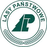 Lasy